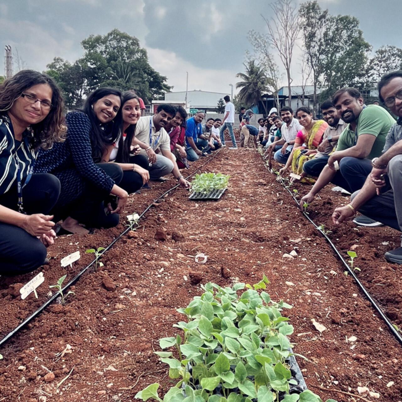 ZEISS employees planting saplings on earth day