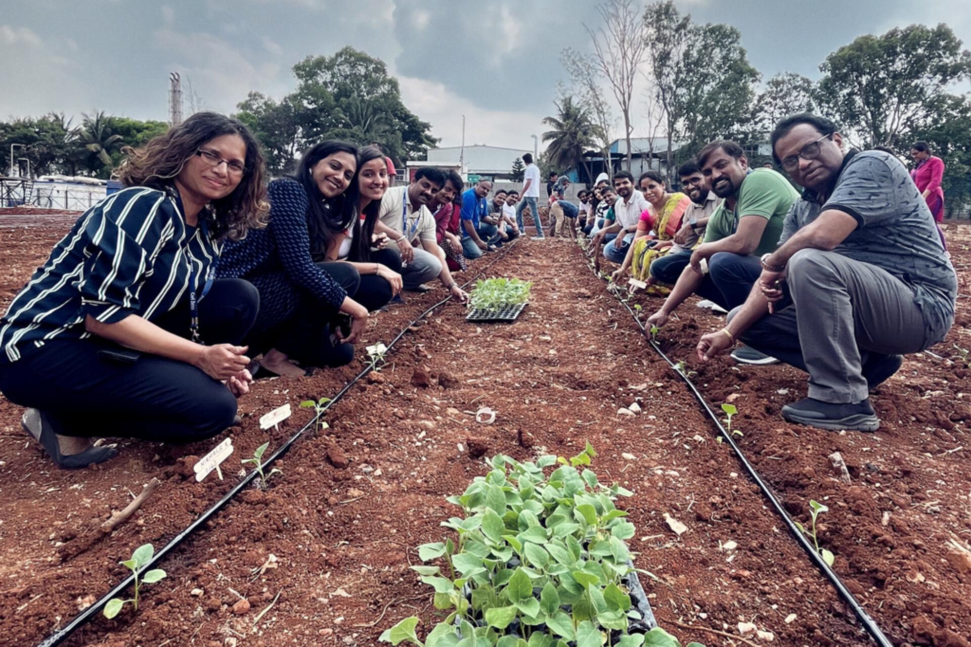 ZEISS employees planting saplings on earth day