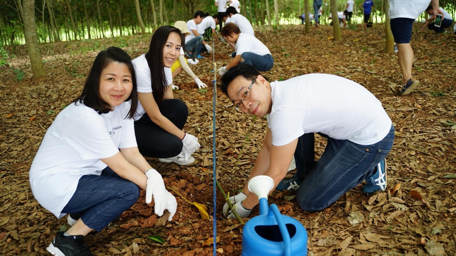 ZEISS colleagues sitting in a raw planting trees in Thailand’s third largest national park, Khao Yai