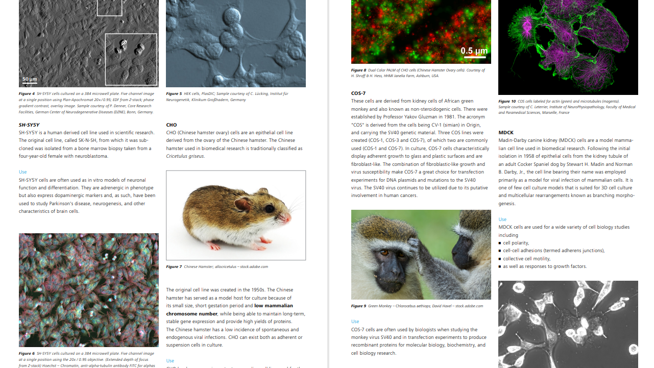 From 3D Light to 3D Electron Microscopy - Ebook Preview 3