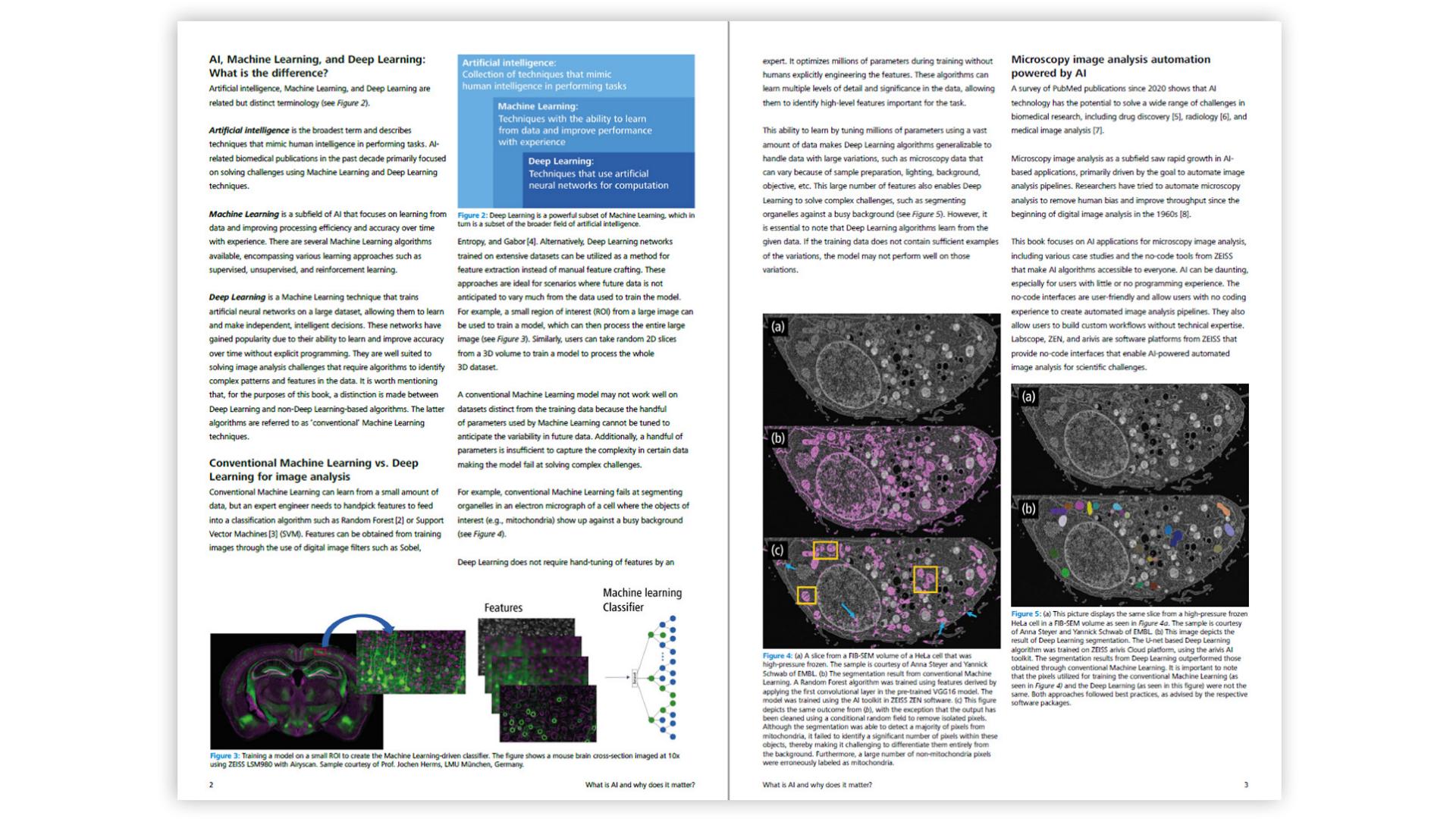 From 3D Light to 3D Electron Microscopy - Ebook Preview 2