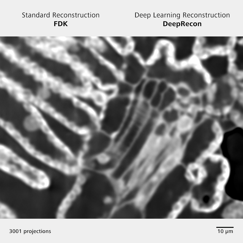 Punch biopsy from a tobacco leaf. The 3001 2D projection dataset was reconstructed with DeepRecon (right)