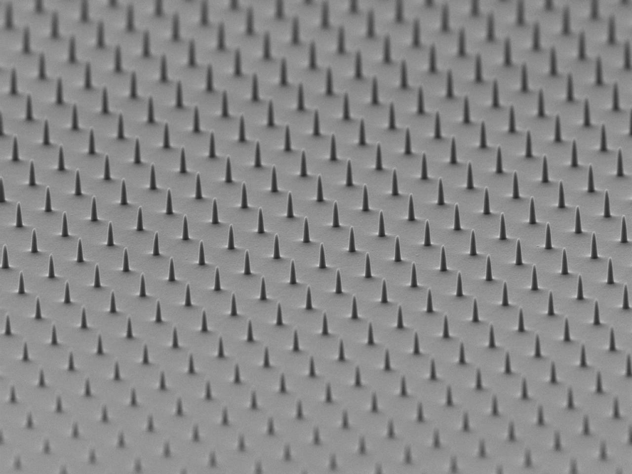 ZEISS Microscopy Applications Overview