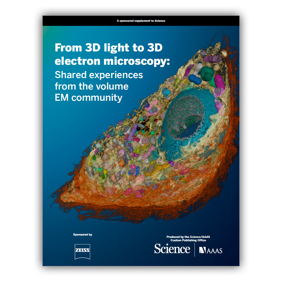 From 3D Light to 3D Electron Microscopy - Science/AAAS Ebook