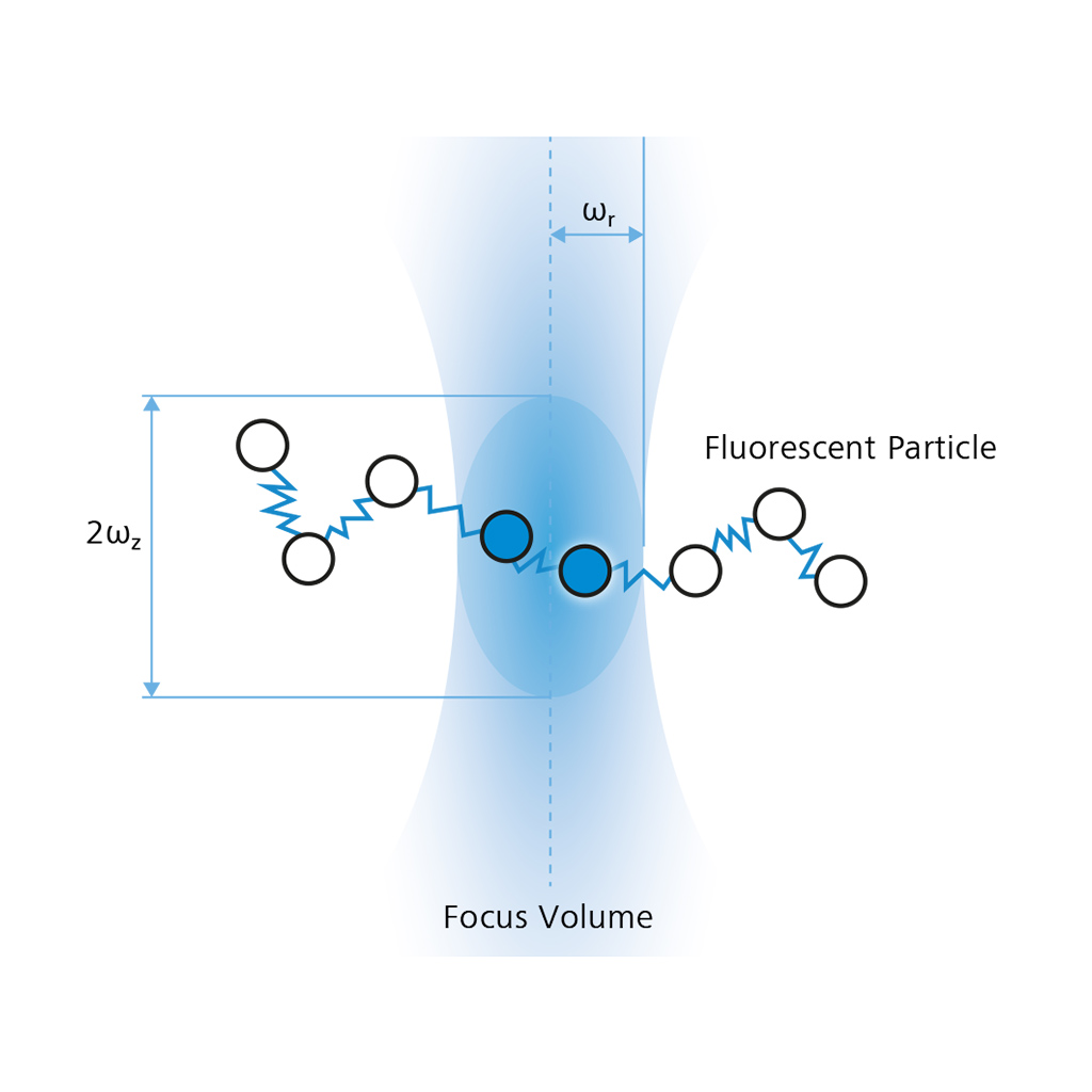 Fluorescence Correlation Spectroscopy (FCS) principle. Trajectory of a fluorescent particle through the detection volume 