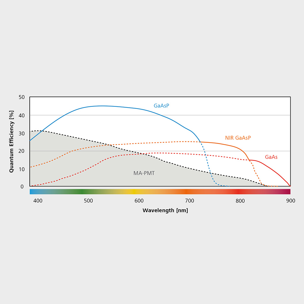 Typical spectral quantum efficiency (QE) of ZEISS LSM 980 detectors, including NIR.