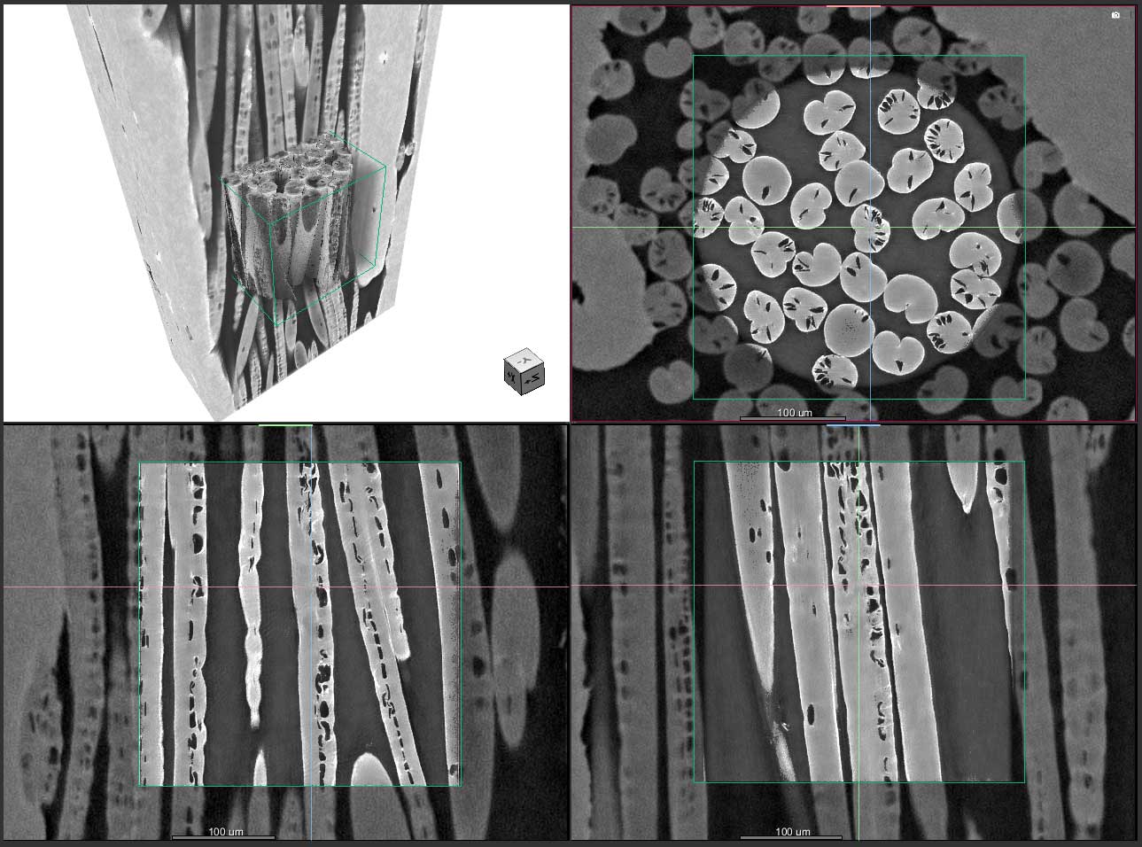 Rayon fibers. Sample courtesy Dr. Sherry Mayo & Dr. David Fox, CSIRO, Australia.