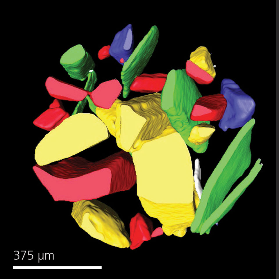 DSCoVer exclusively available on ZEISS Xradia 620 Versa enables separation of the particles. 3D rendering shows Aluminum/green; Silicates/red