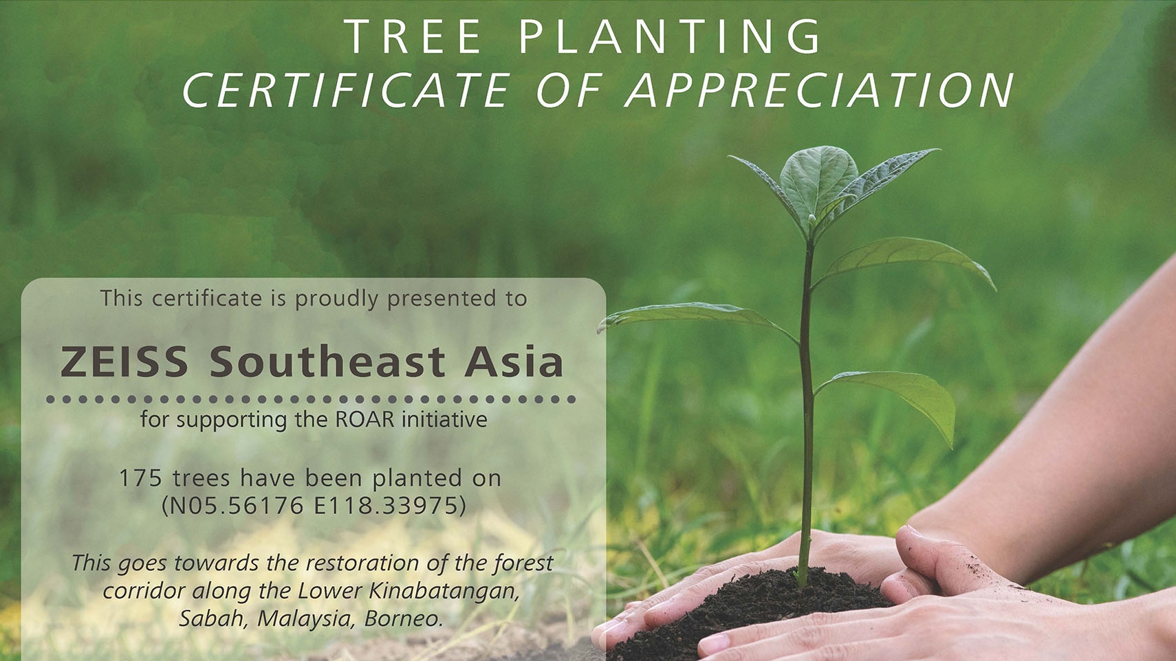 Image of tree planting certificate of appreciation from ZEISS Southeast Asia