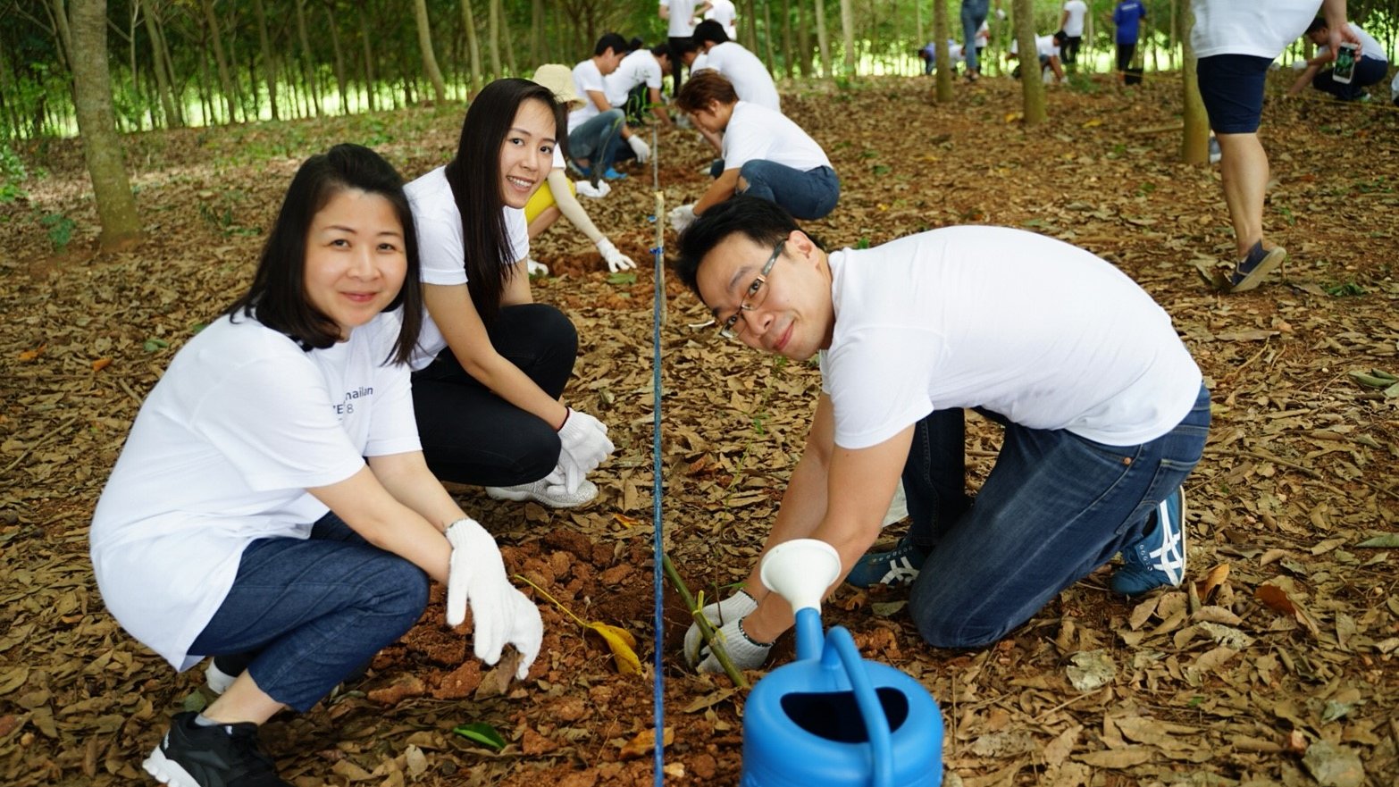 ZEISS colleagues sitting in a raw planting trees in Thailand’s third largest national park, Khao Yai