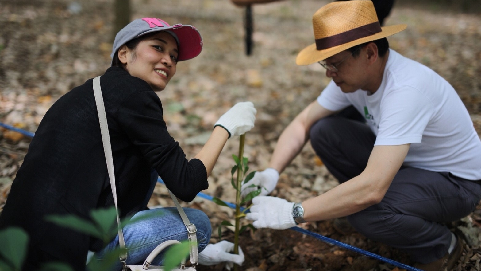 A woman and a man planting a tree together